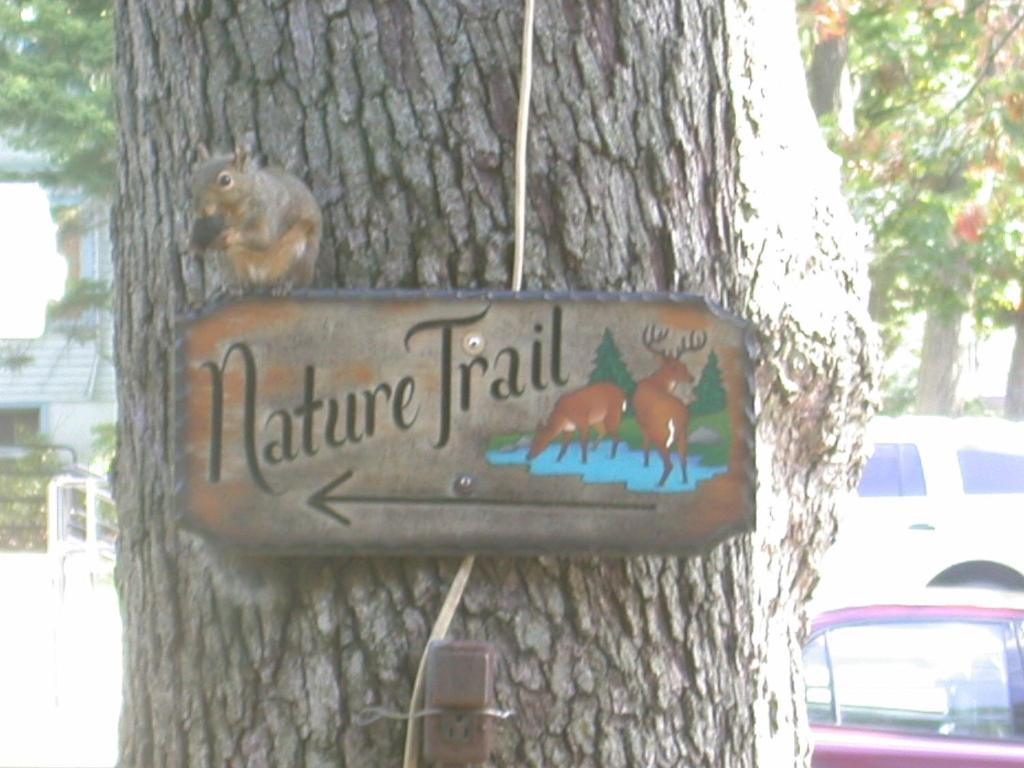 Indian Trail Motel Wisconsin Dells Zewnętrze zdjęcie